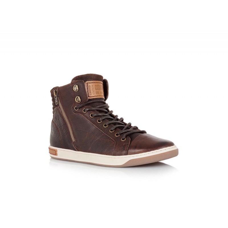 J57758361136 brown bullboxer 