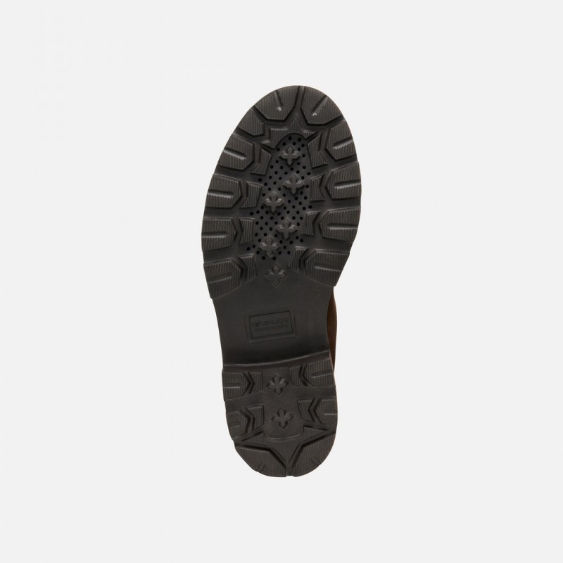 D564ZD DK BROWN GEOX