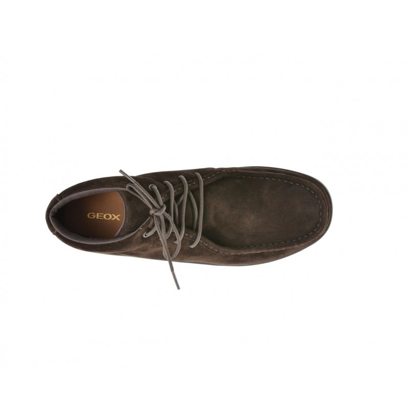 U56HLA SPHERICA DK BROWN GEOX