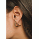 Acrobat Gold Almynoma