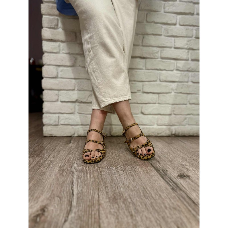 2421-PIAF LEOPARD TSITSIVAS
