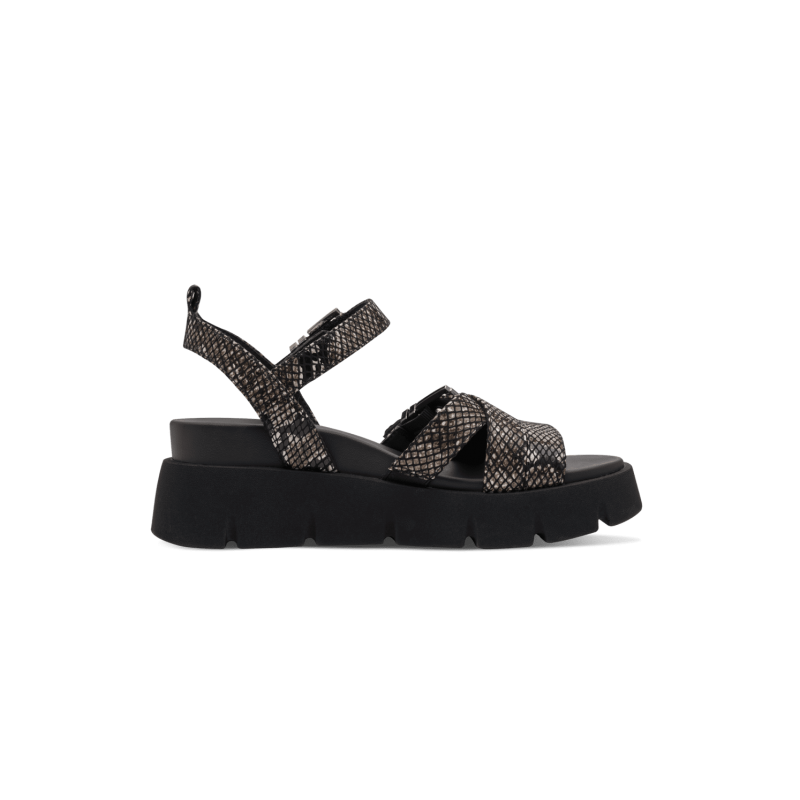 1-28511 BLACK SNAKE TAMARIS