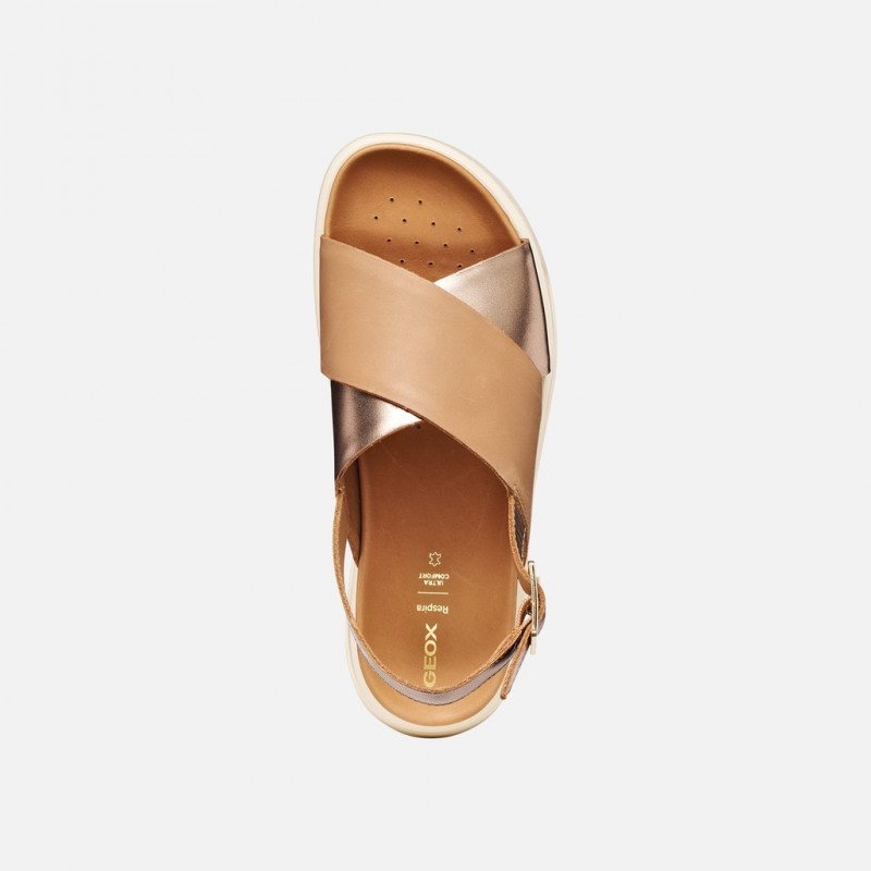D45SZE XAND BEIGE/DK BEIGE GEOX