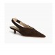 6250 CORINA