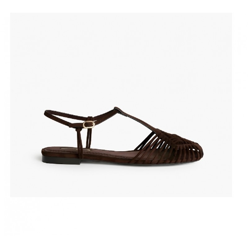 6396 CAMEL CORINA