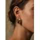 Golden Pulse Almynoma
